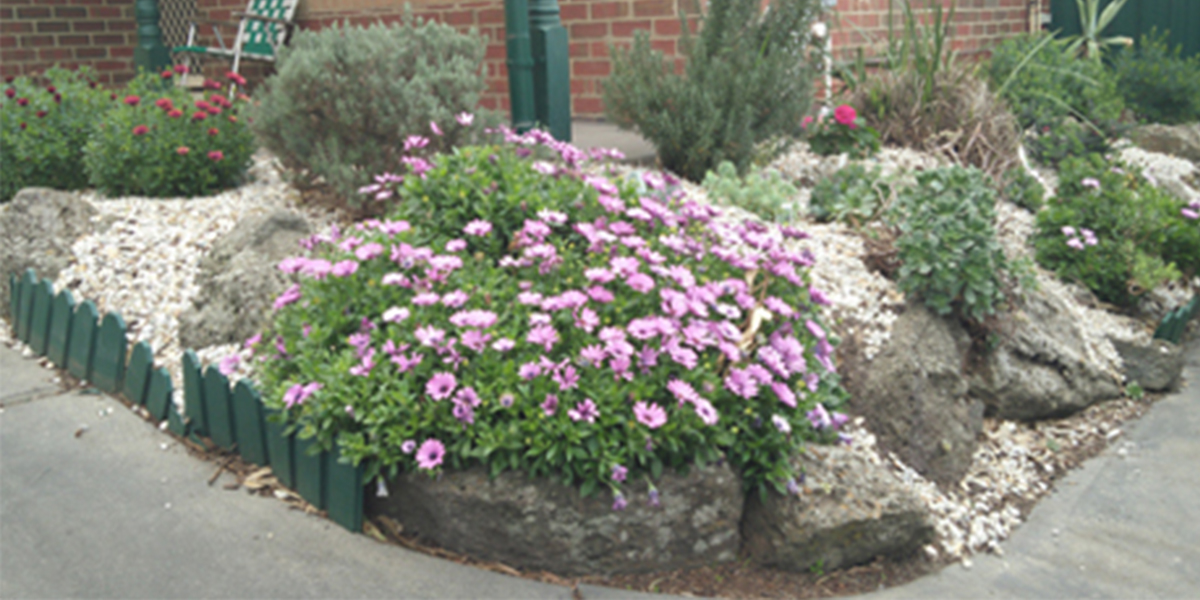 Garden Rejuvenation Services Brighton