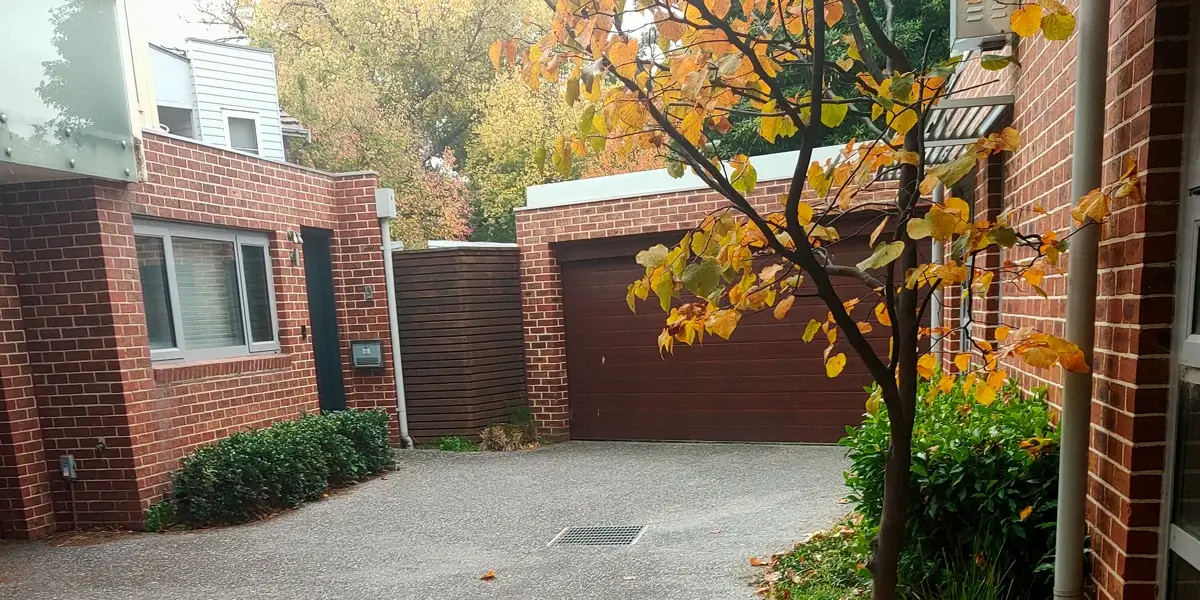 Pruning Hedging 1200x600 1 (1)