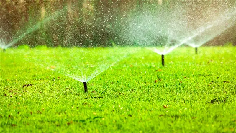 water drops green grass field 2