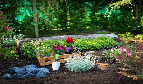 Your Local Horticulturist At Your Doorstep