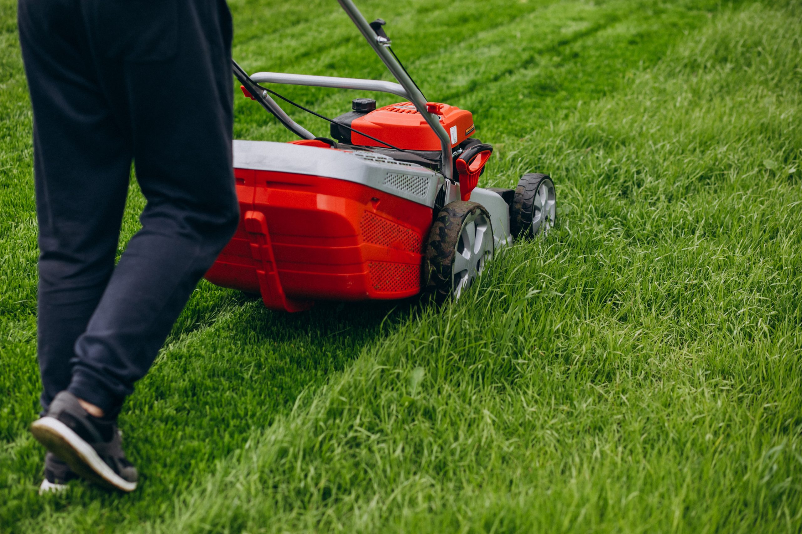 Discover Local Lawn Mowing Services Near You Clay Fields Hort