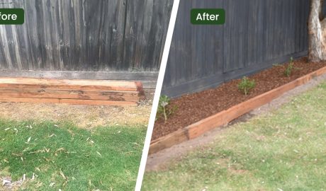 Before and after
