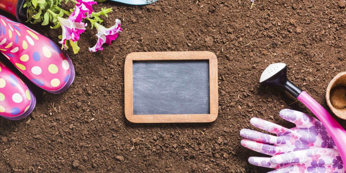 How to Prepare Your Garden for Winter? Expert Soil Advice Inside