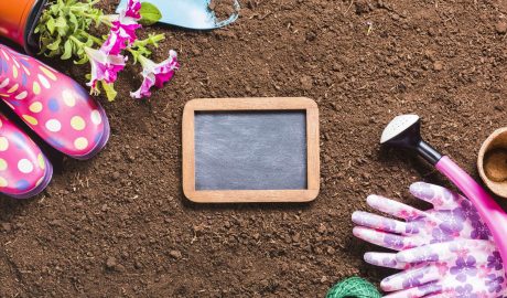 How to Prepare Your Garden for Winter? Expert Soil Advice Inside