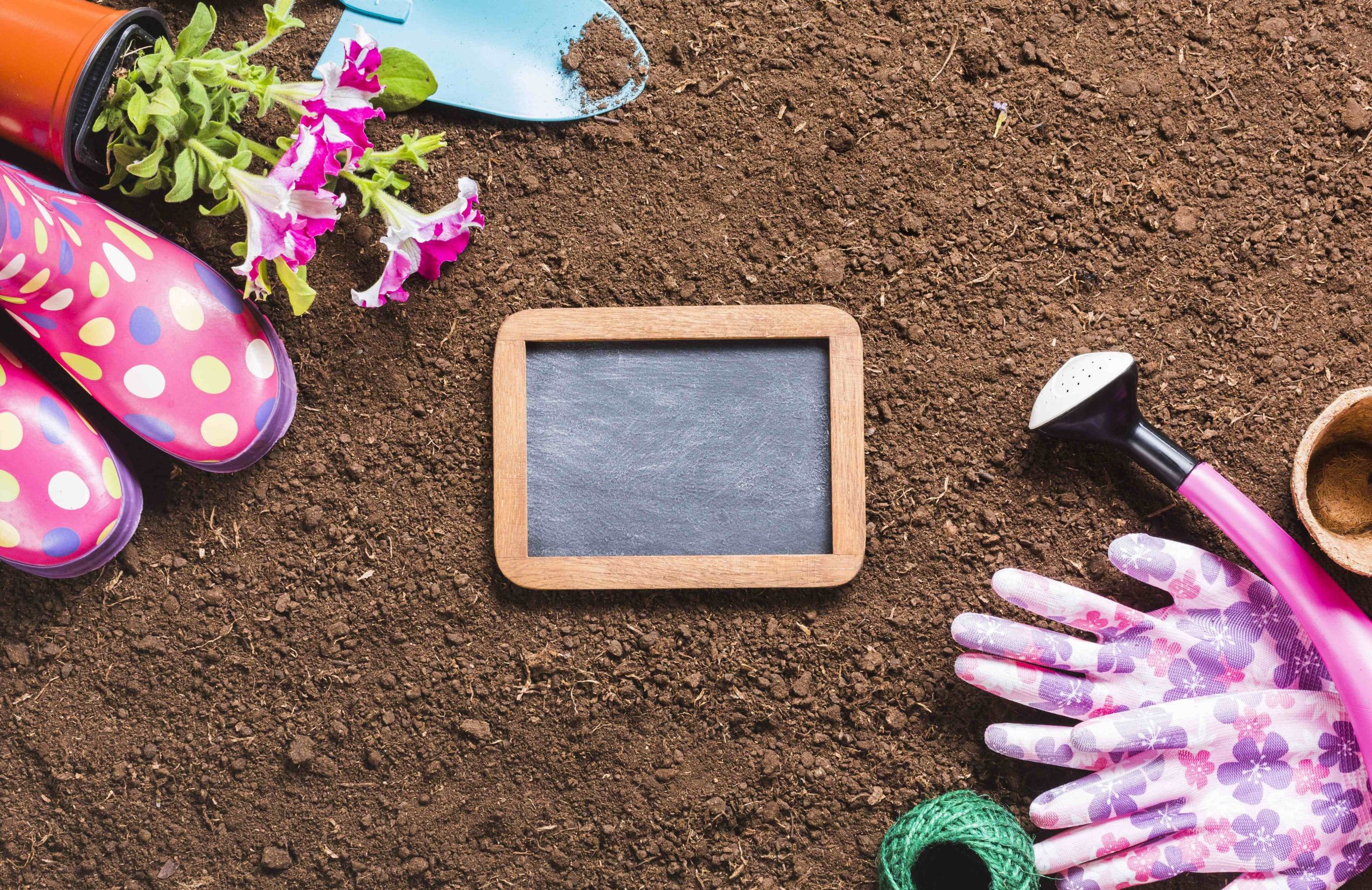 How to Prepare Your Garden for Winter? Expert Soil Advice Inside 