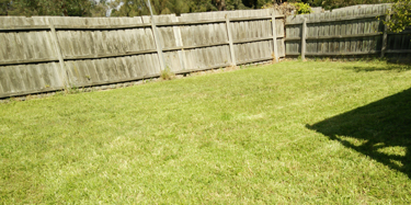 grass-post