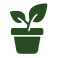 fixing ailing plants