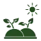 mulching services