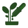 plant selection installation